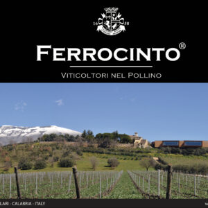 Ferrocinto